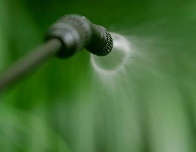 The Benefits of Professional Termite Treatment in Lubbock